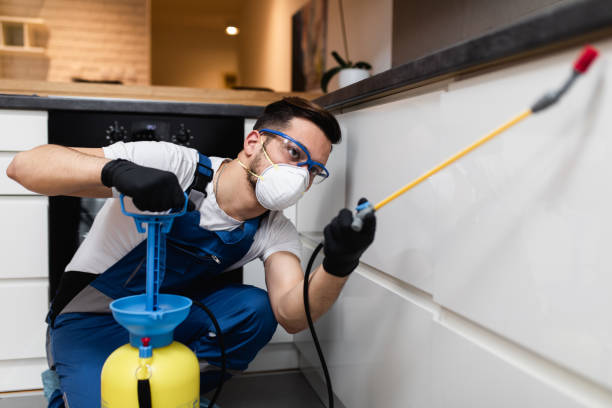 Best Cockroach Control Services  in Camilla, GA