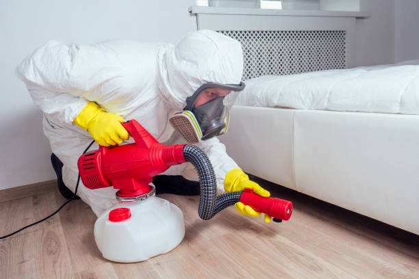 Reliable Camilla, GA Pest Control Solutions