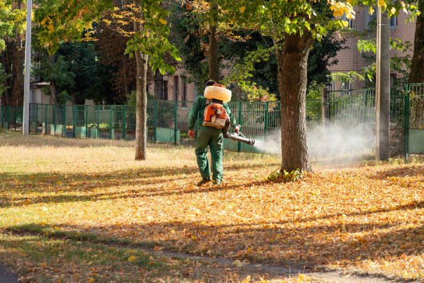 Best Exterminator Services  in Camilla, GA