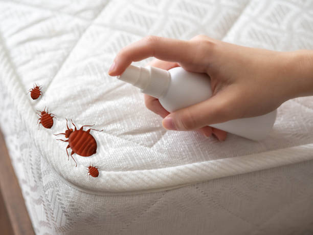 Pest Control for Restaurants in Camilla, GA